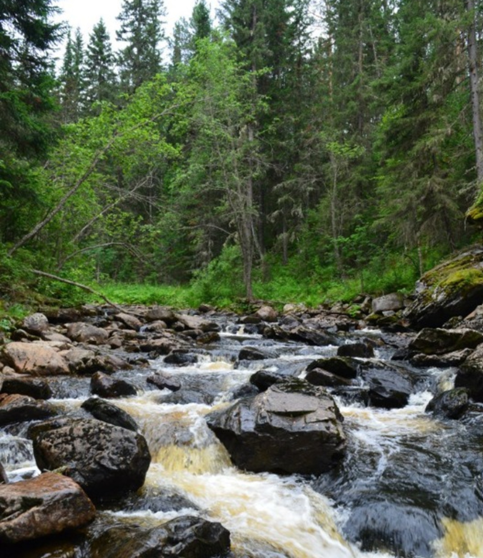 Владимира Шакиева.