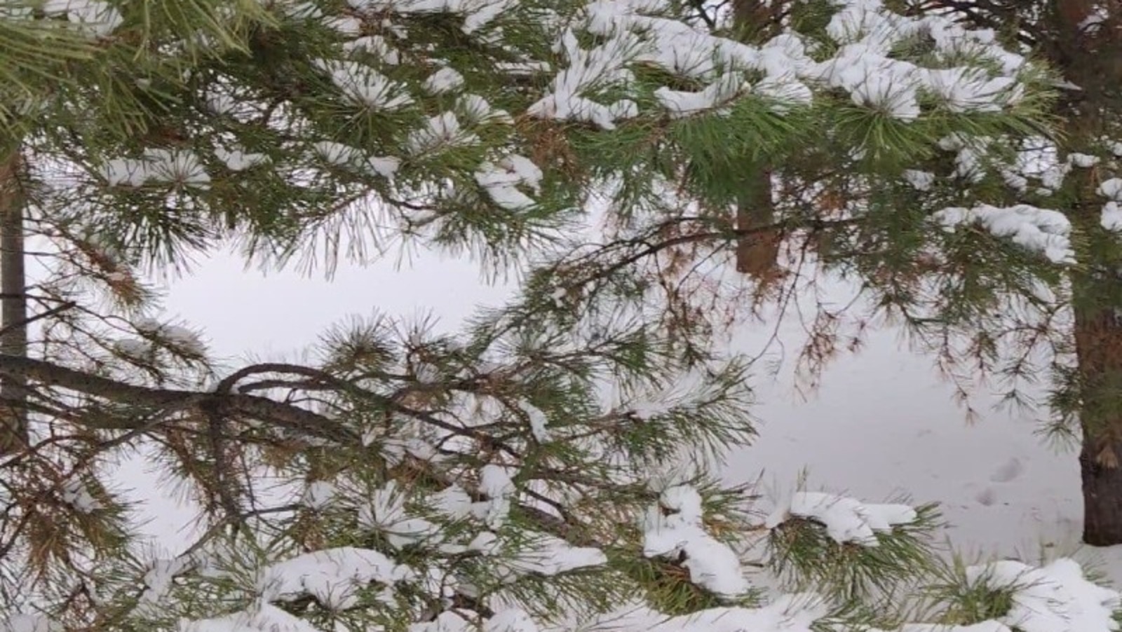 Дарьи Святохиной.