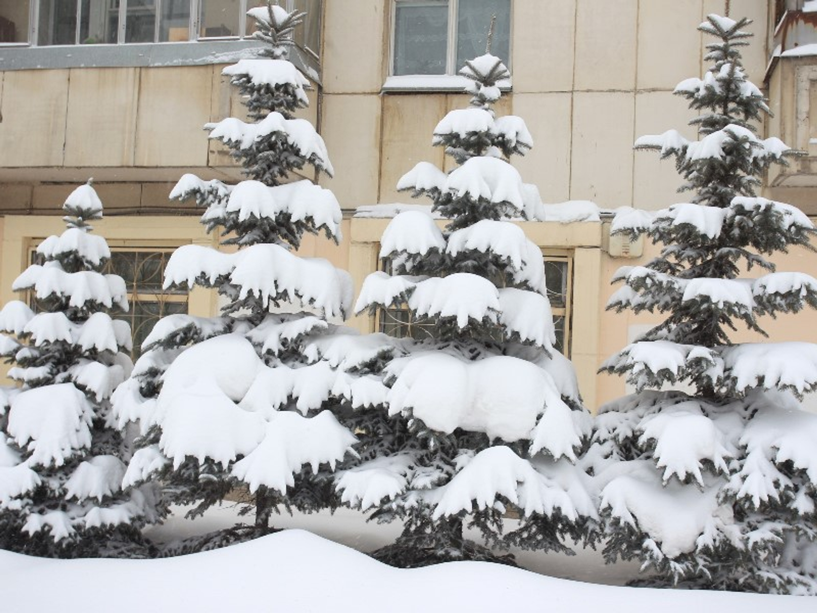 Фото Олега Яровикова.