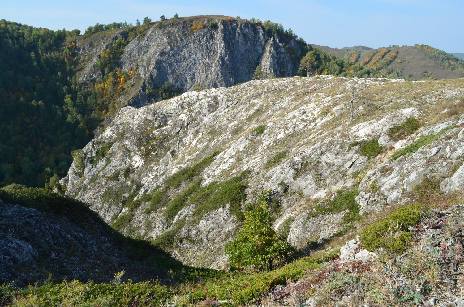 Владимира Шакиева.
