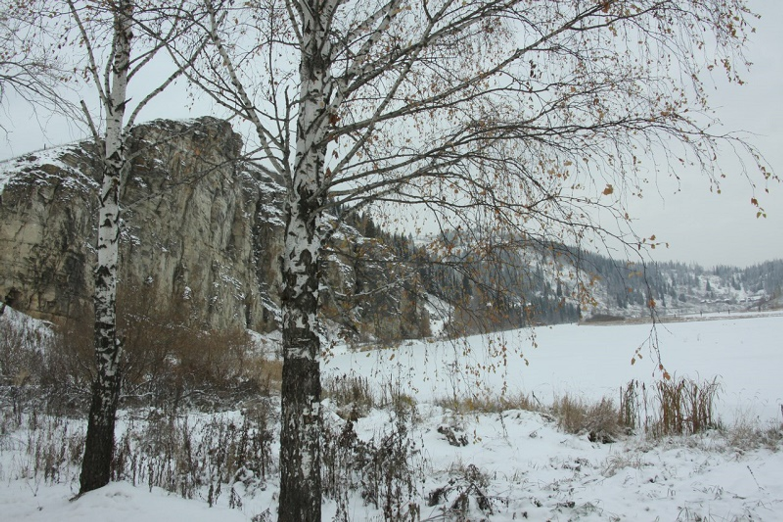 Фото Альмира Сибагатуллина.