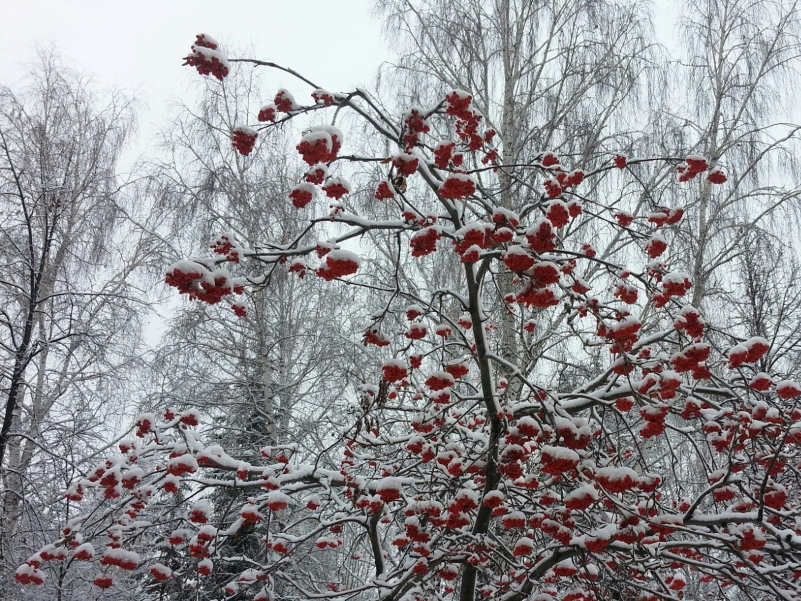 Дарьи Святохиной.