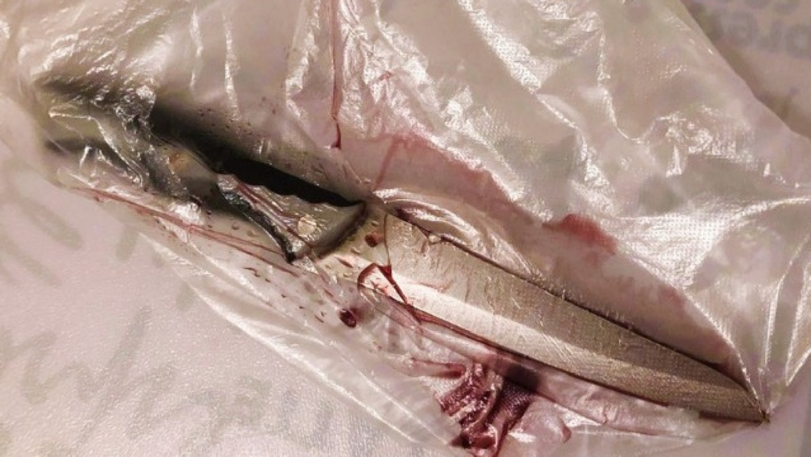 Елены Колоколовой.