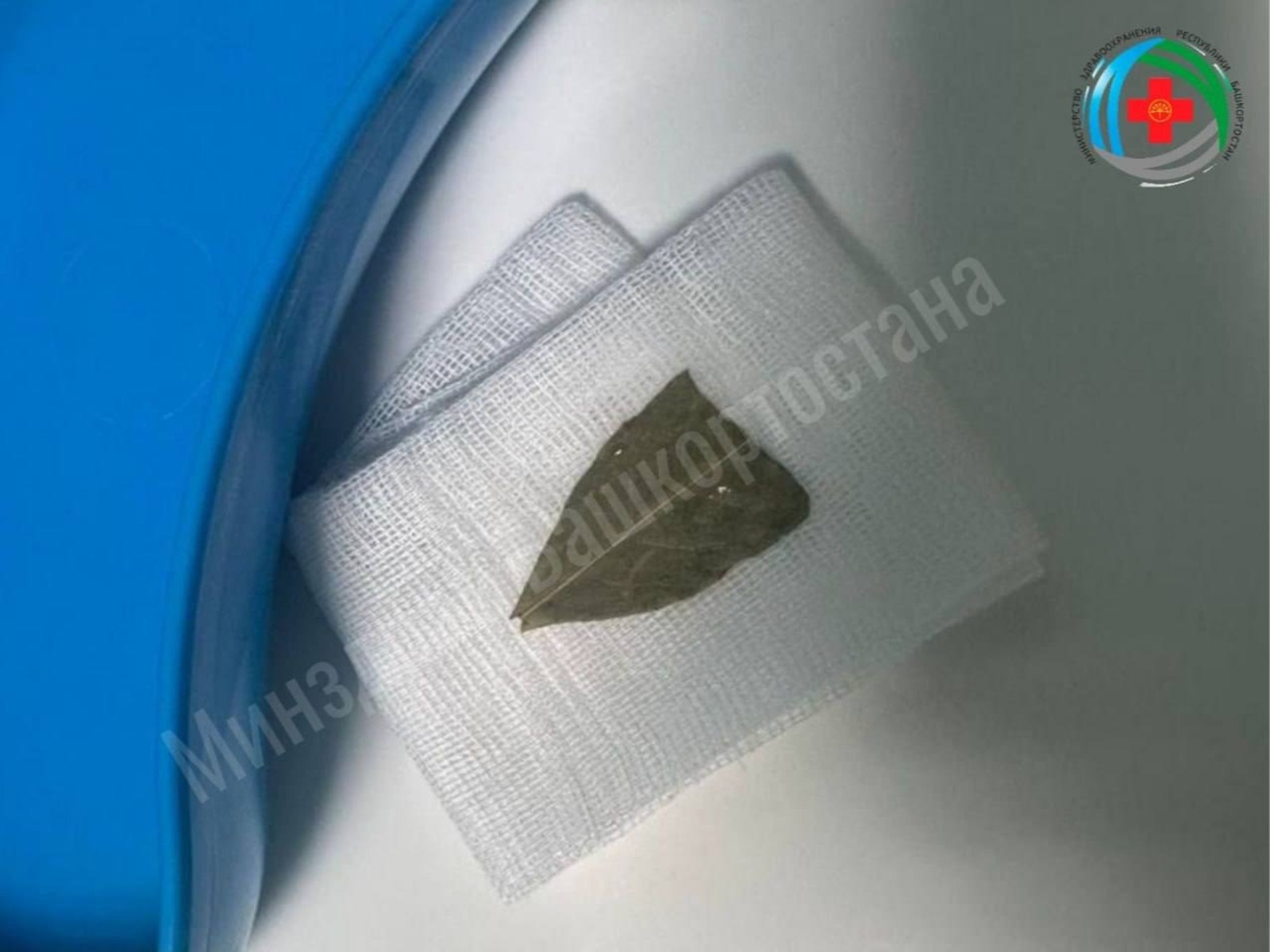 Айрат Рахматуллин, телеграм-канал. Айрат Рахматуллин, телеграм-канал.