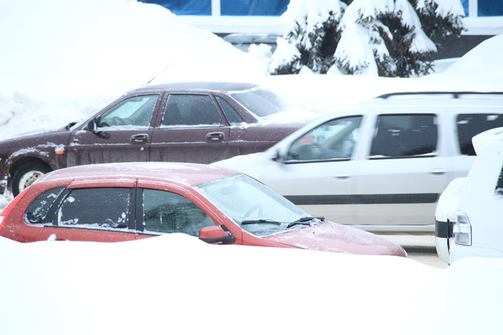 Фото Олега Яровикова.