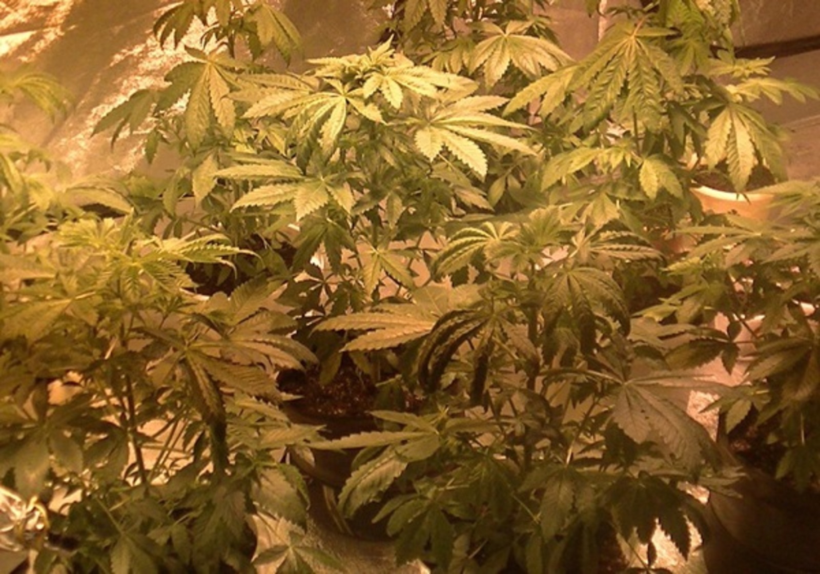 Фото ИА «Башинформ».