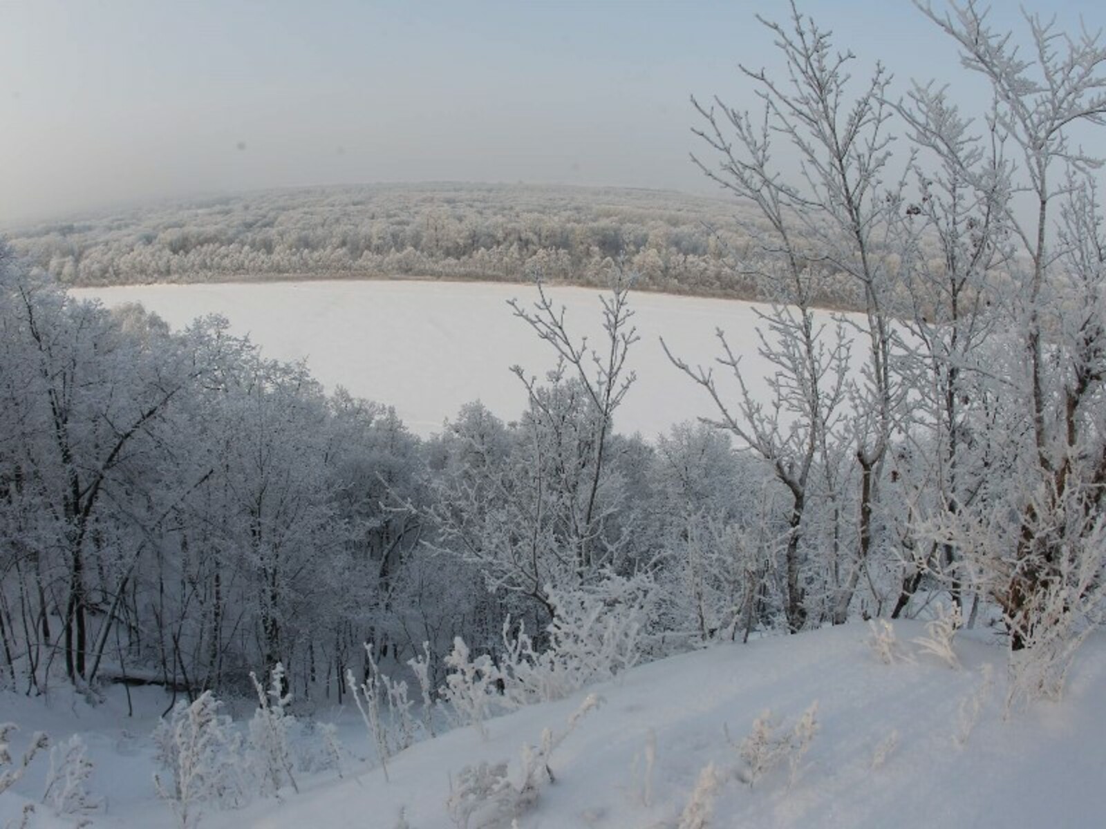 Фото Олега Яровикова.