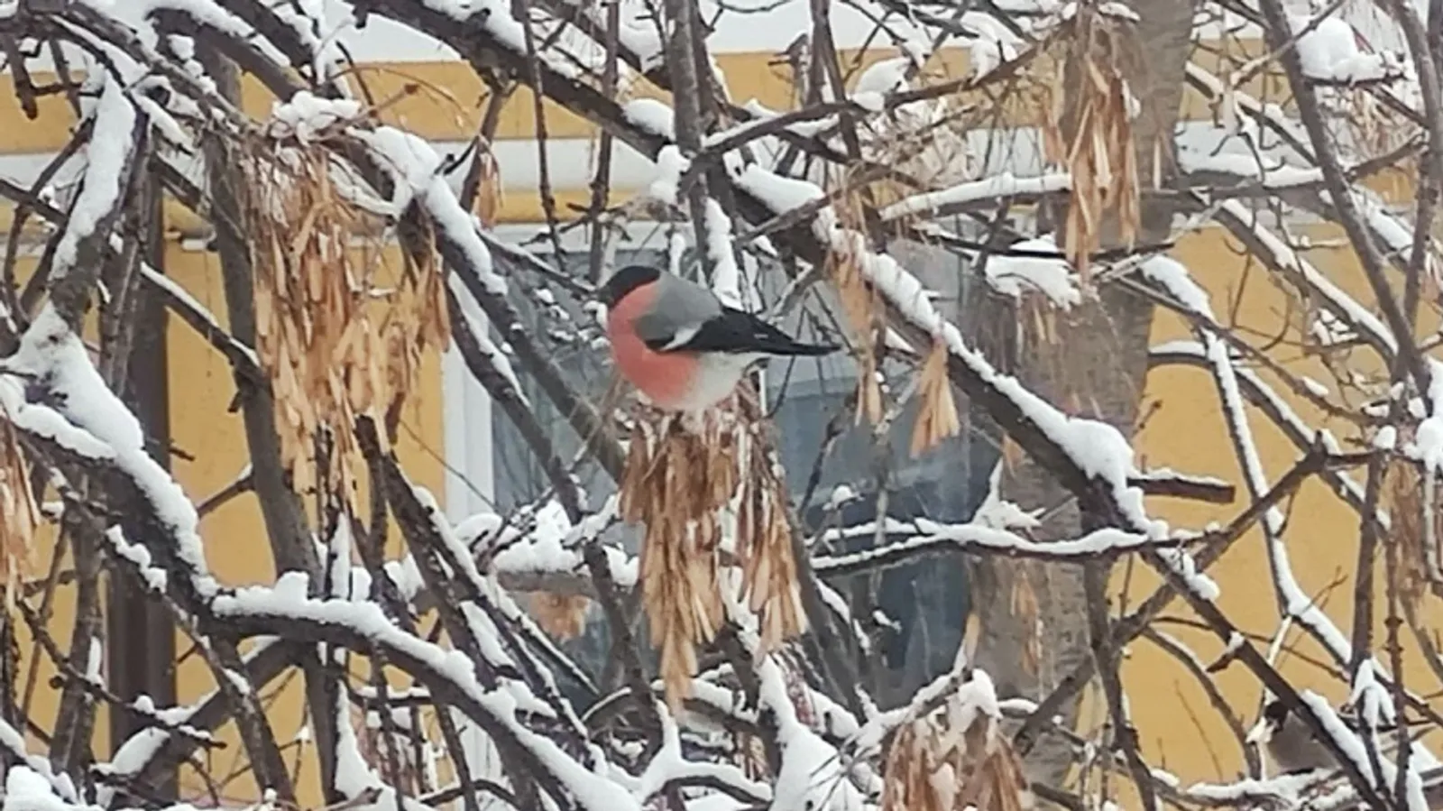 Фото автора.