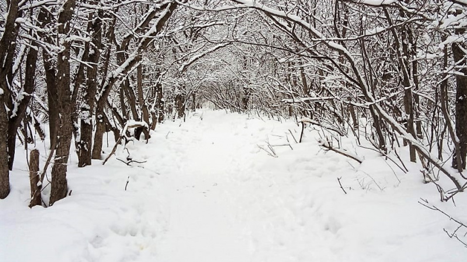 Фото автора.