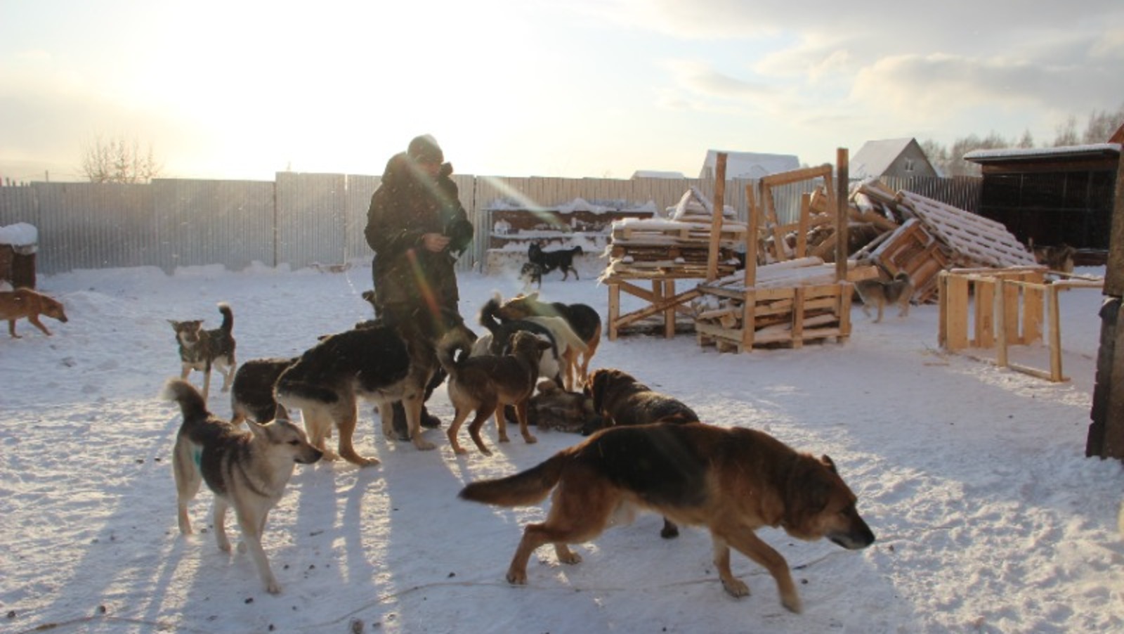 Елены Колоколовой.