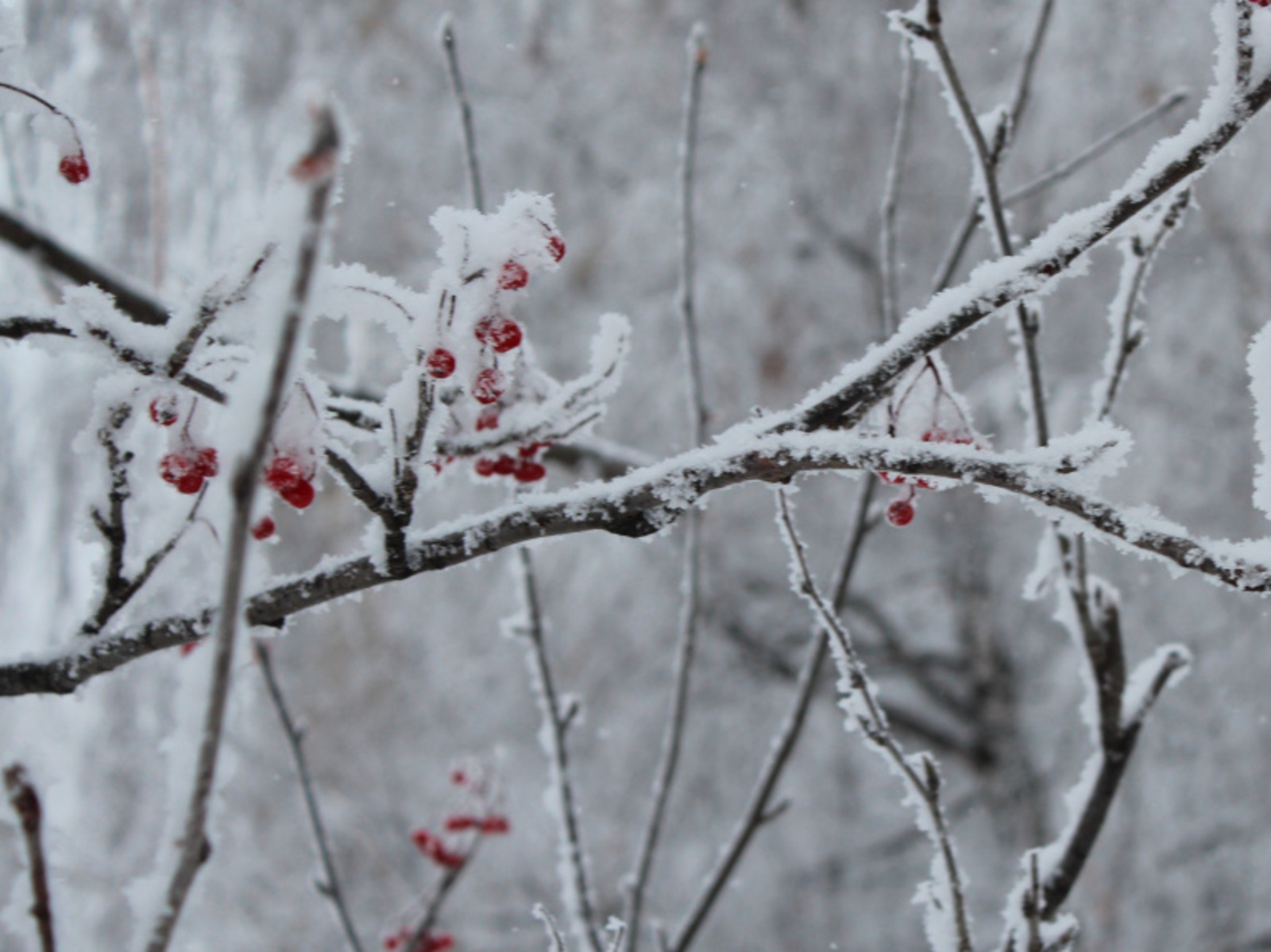 Фото Дарьи Святохиной.