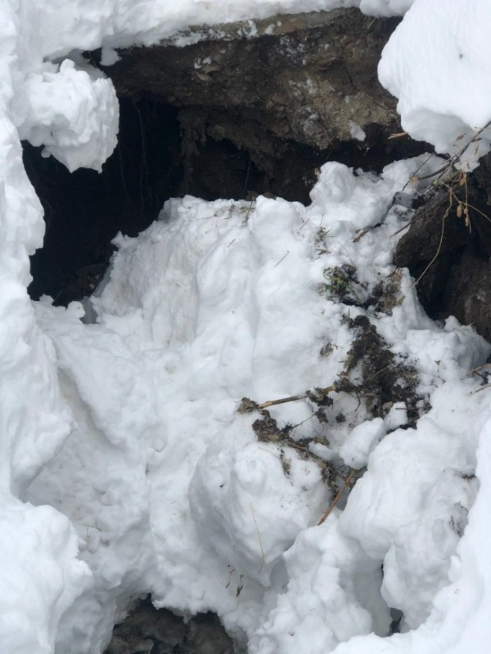 сайт Управления гражданской защиты Уфы.