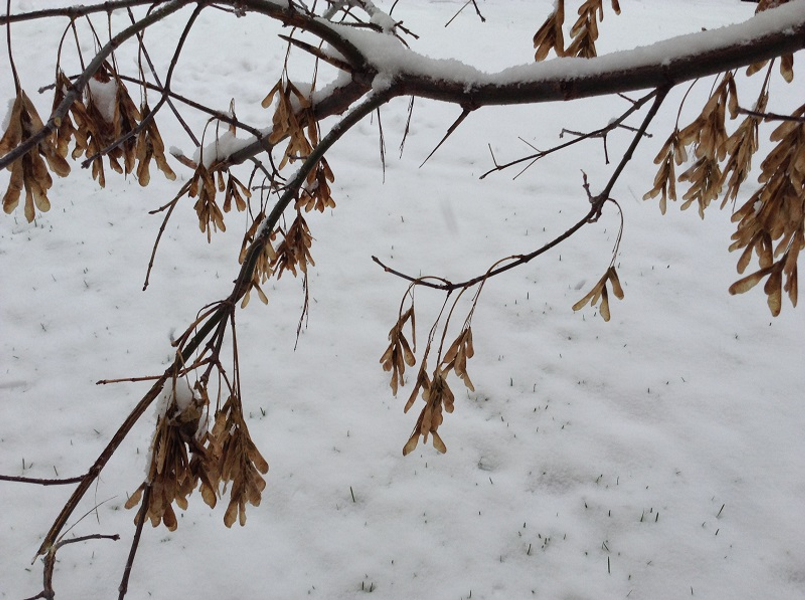 Фото Васили Саитовой.