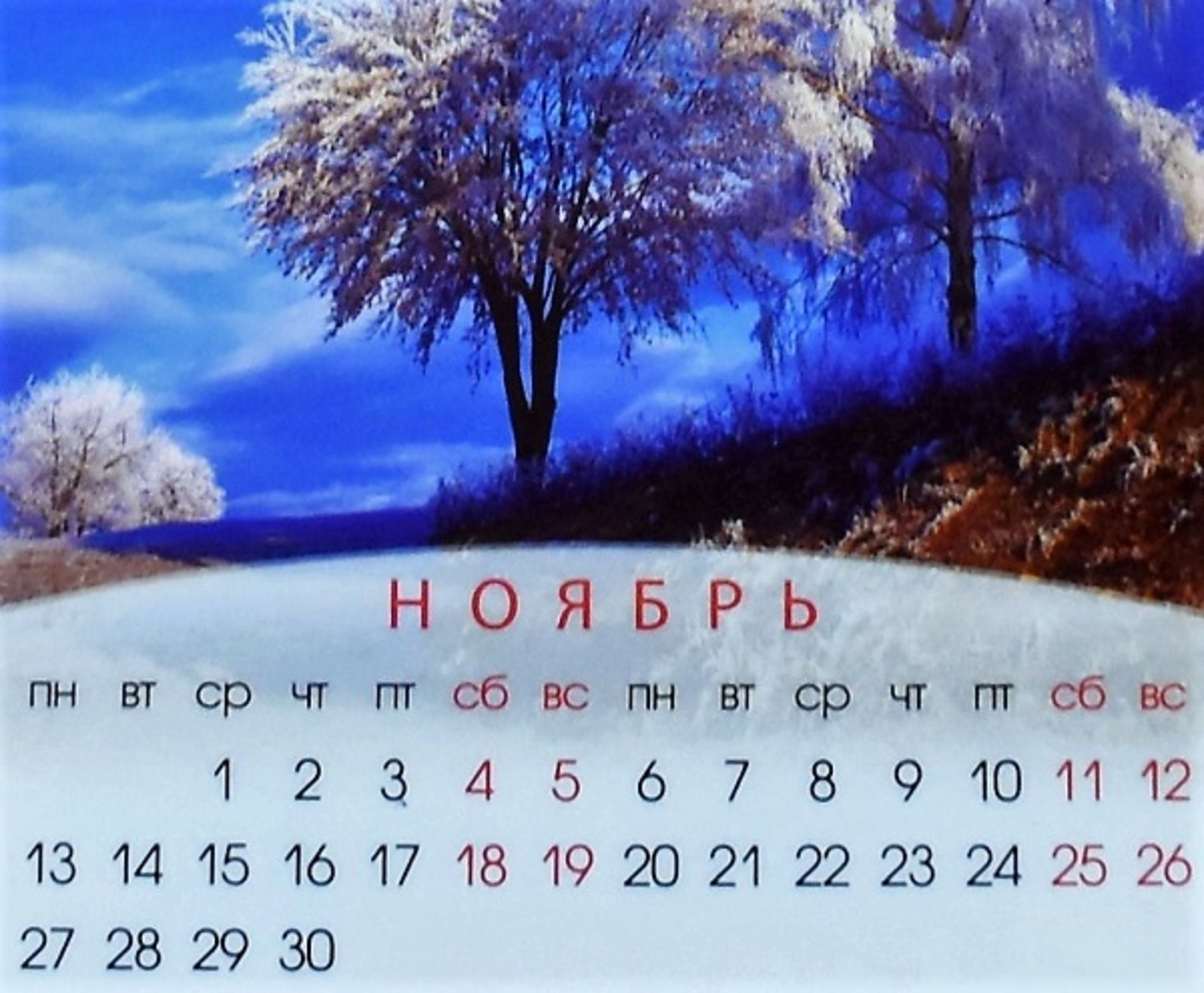 Фото Васили Саитовой.