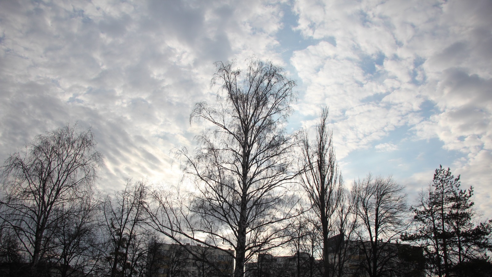 Владимира Шакиева. «Общественная электронная газета».