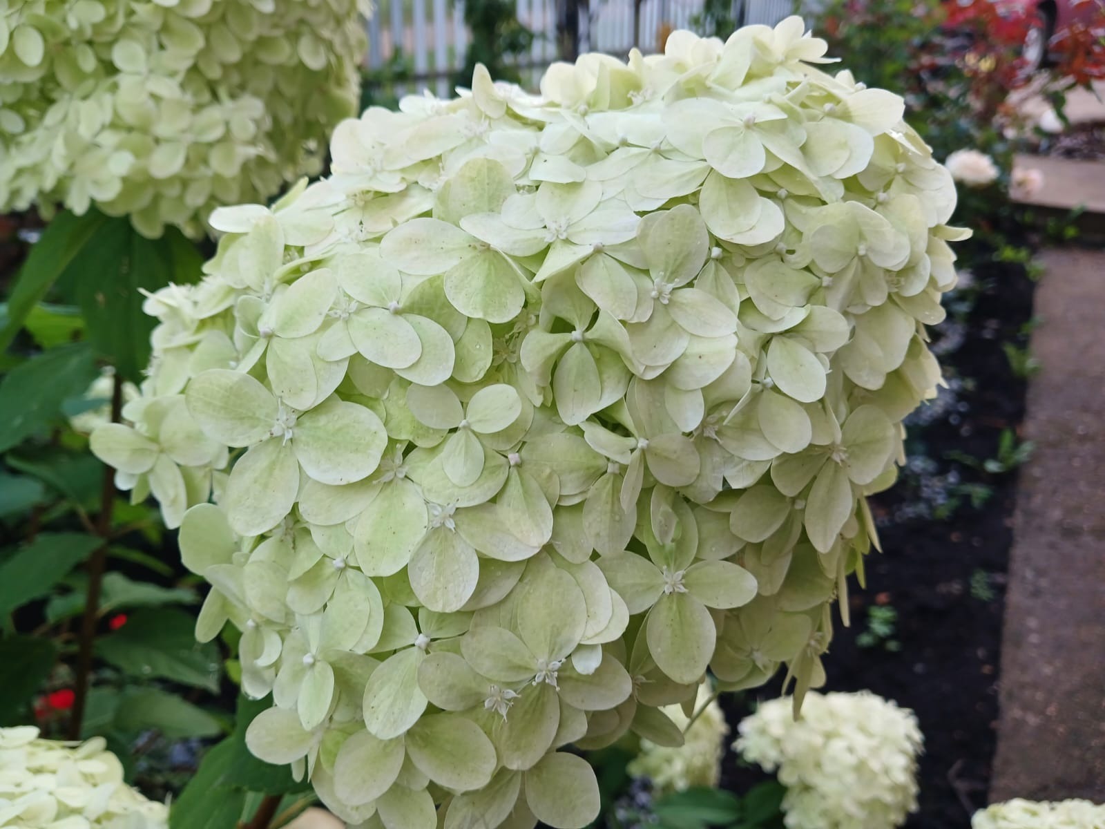 Васили Саитовой.