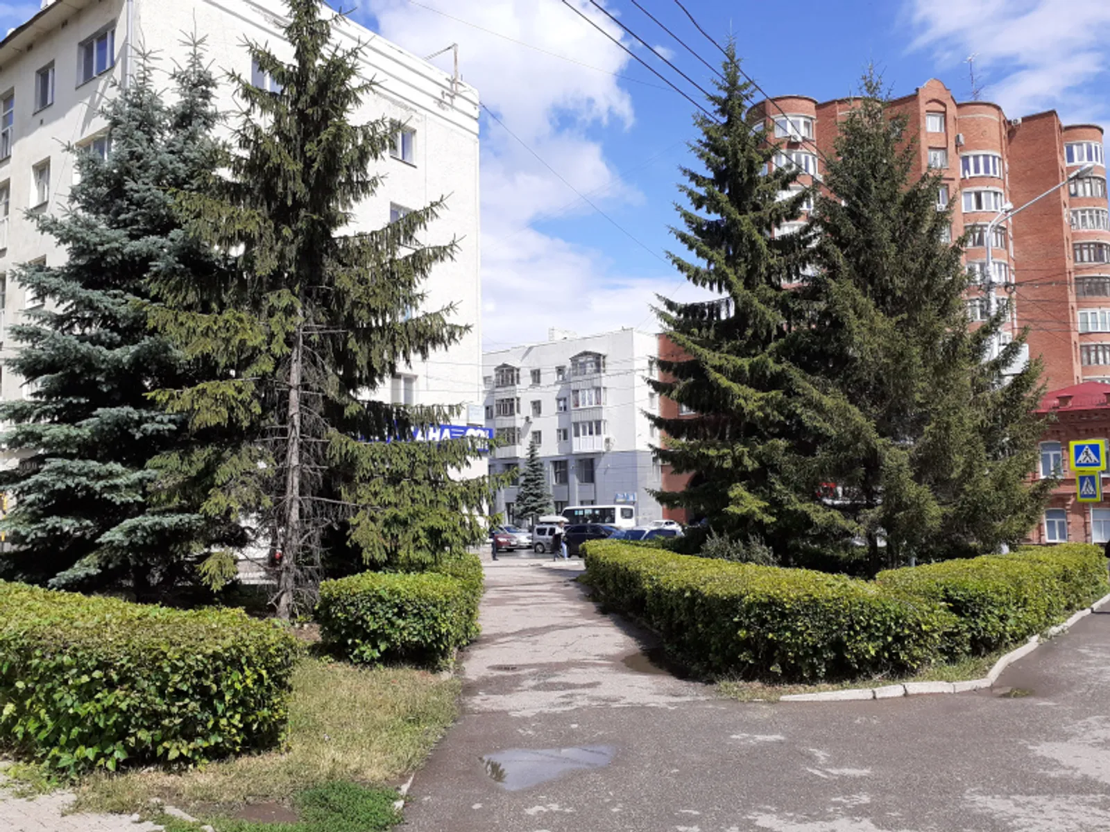 Фото автора.