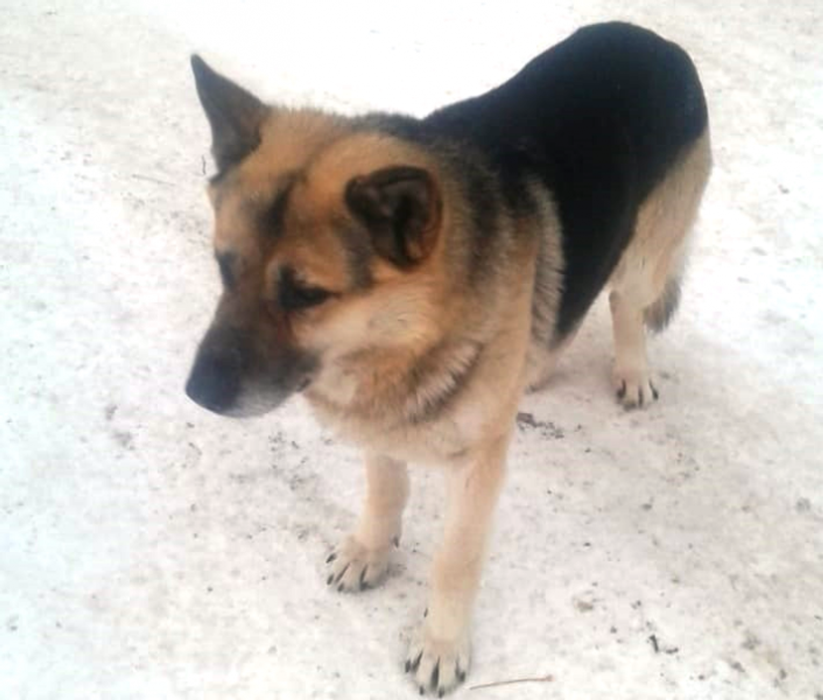 Фото автора.