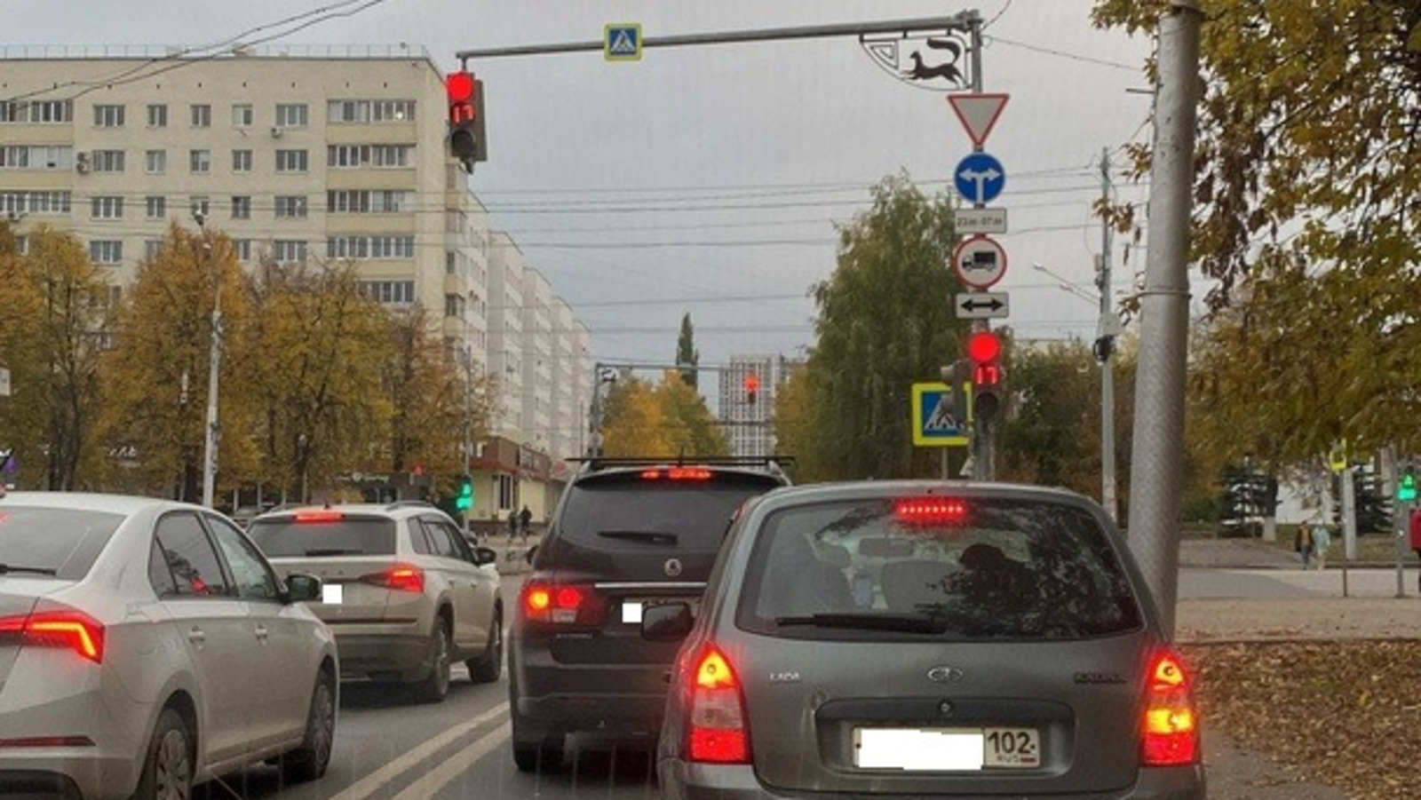 Елены Колоколовой.