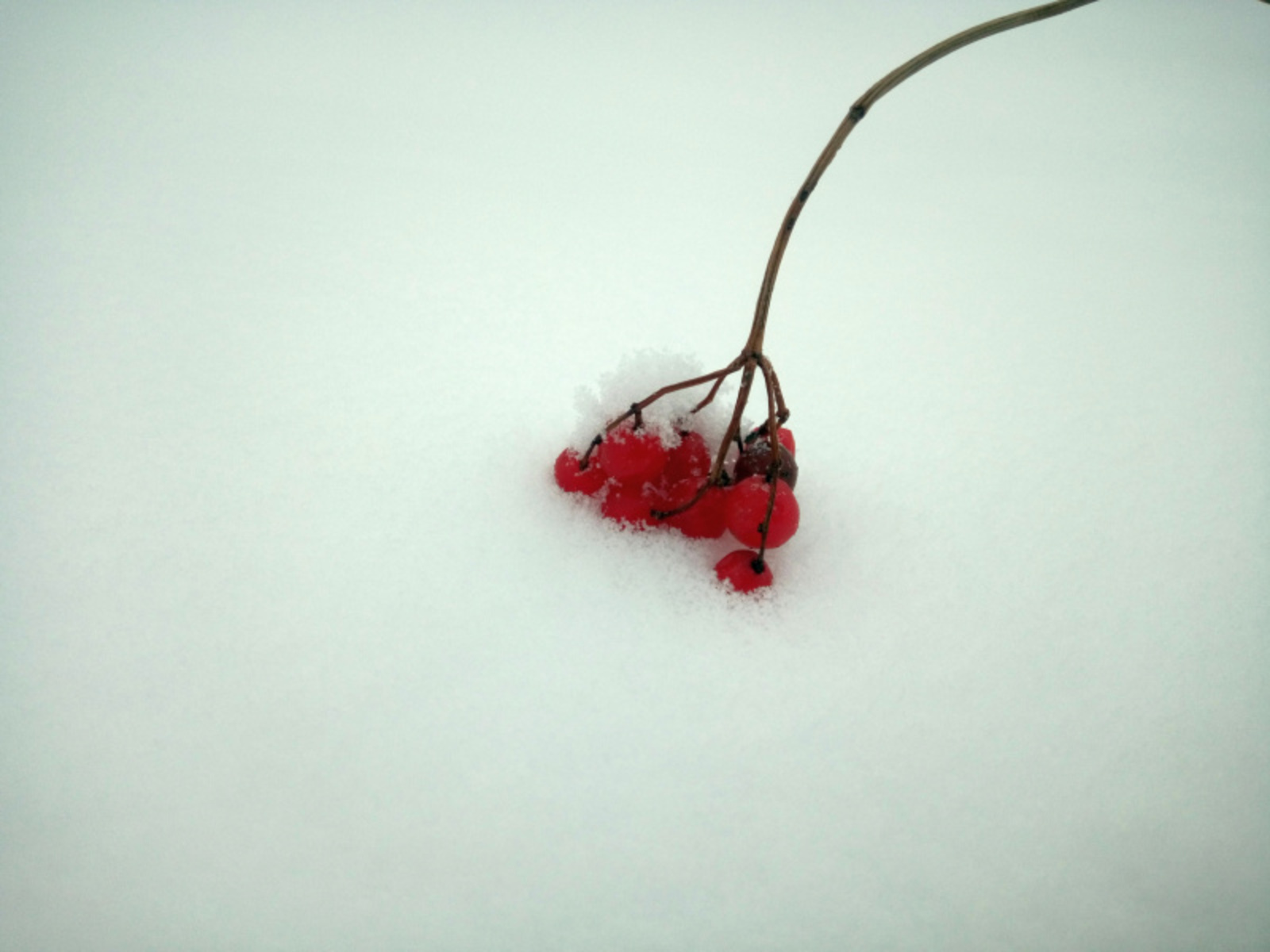 Фото Васили Саитовой.