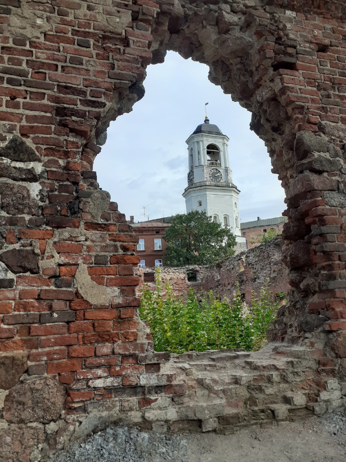 Владимира Шакиева.