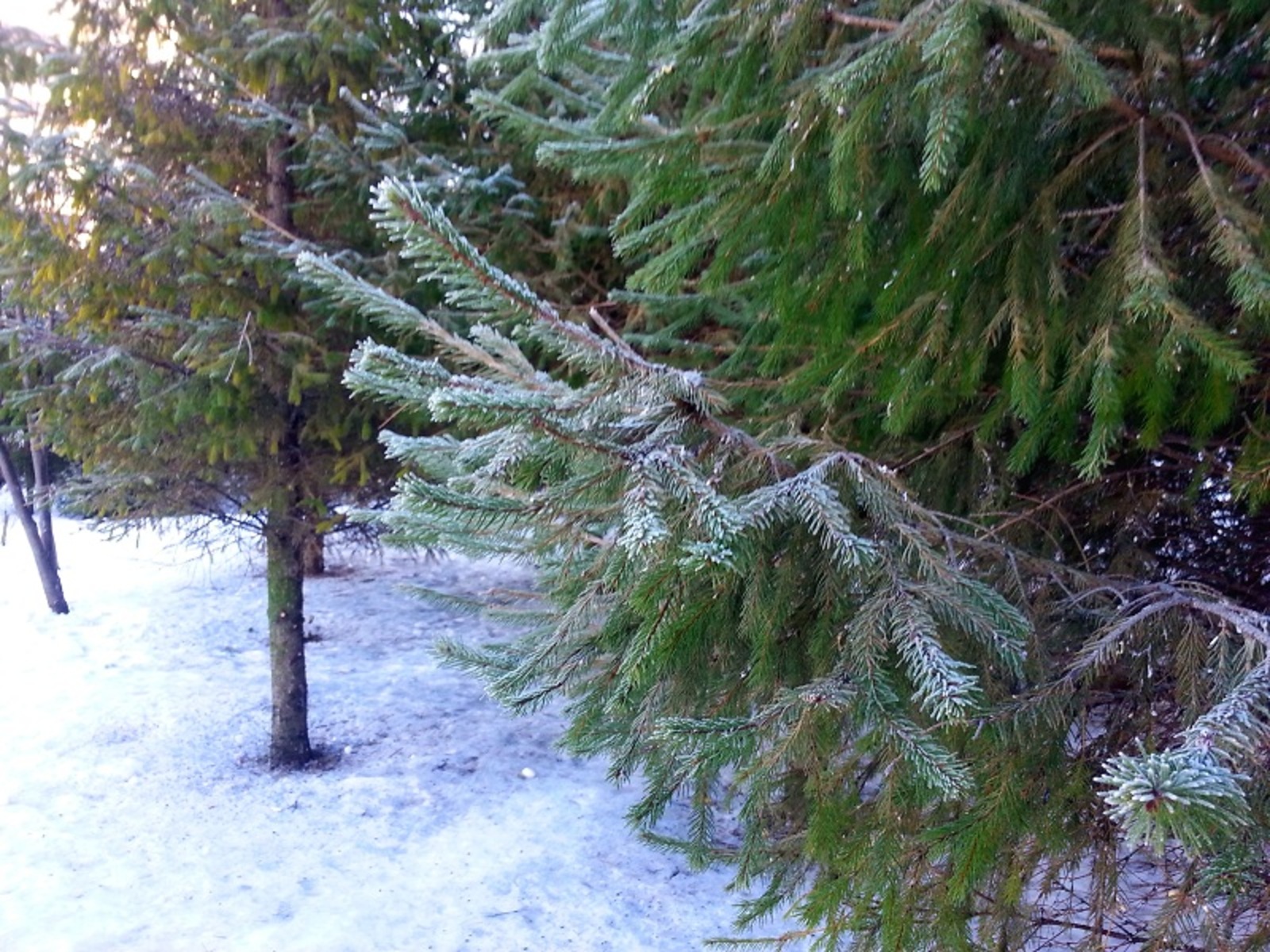 Фото автора.