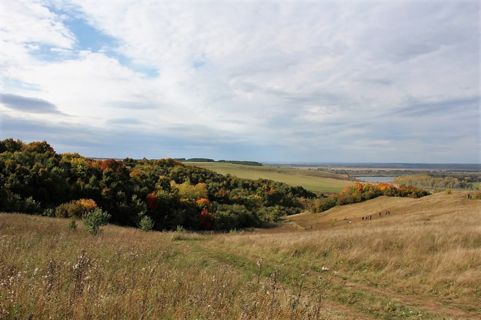 Фото автора.