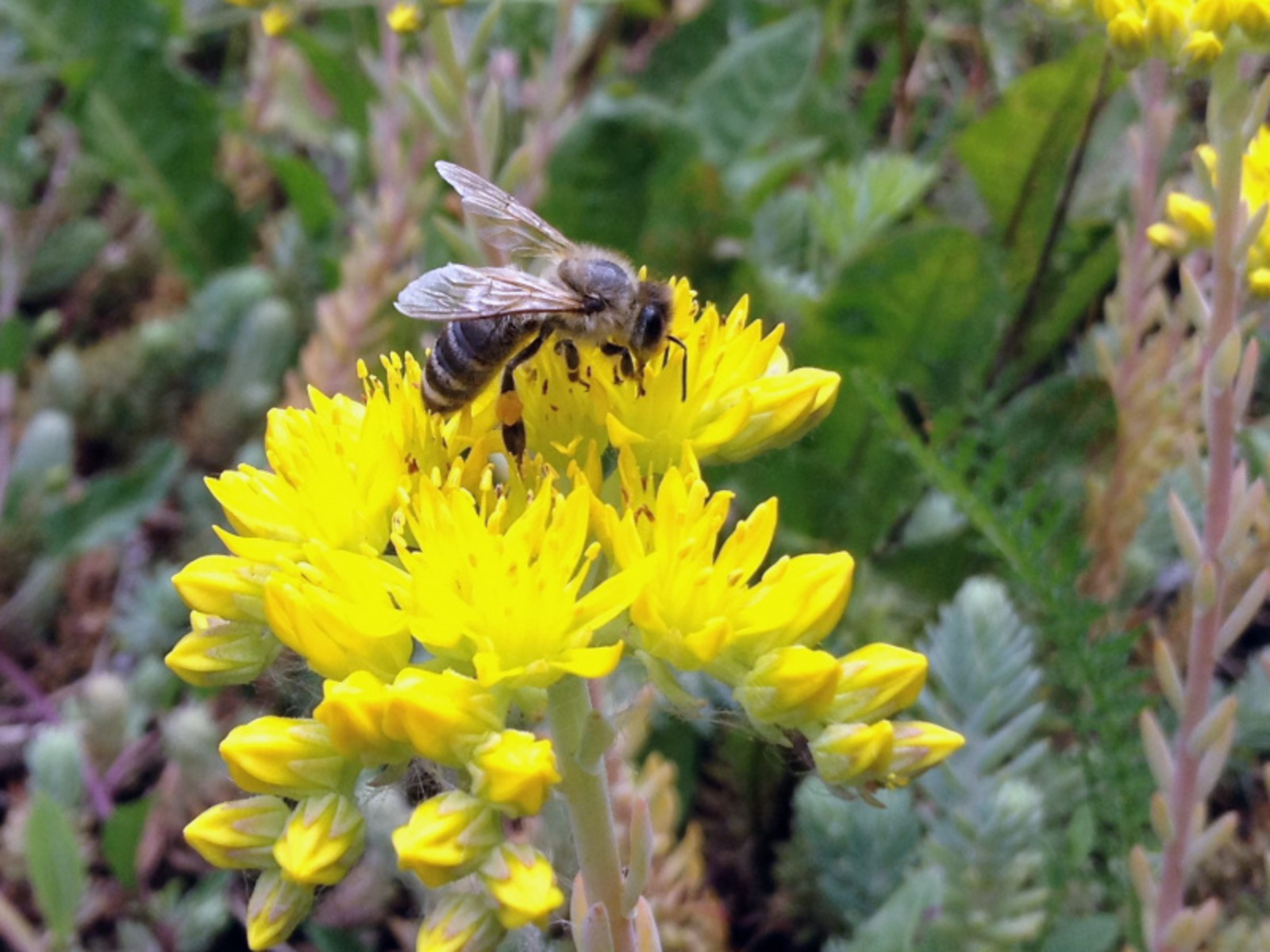 Фото ИА Башинформ.