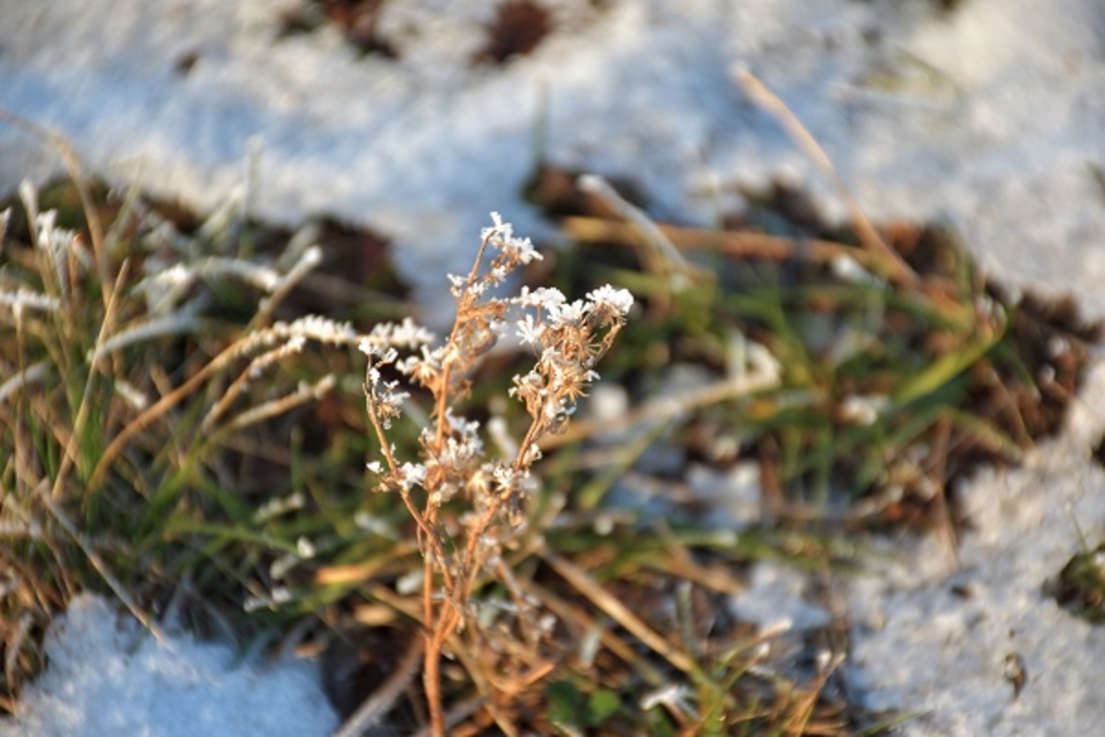 Фото Елены Колоколовой.