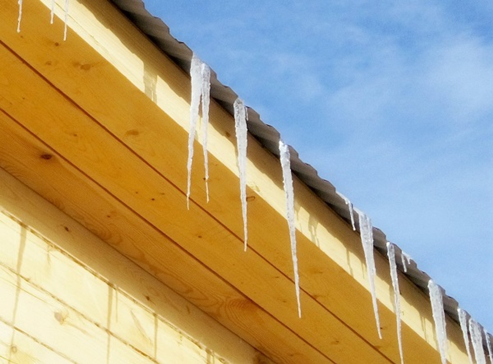 Фото Васили Саитовой.