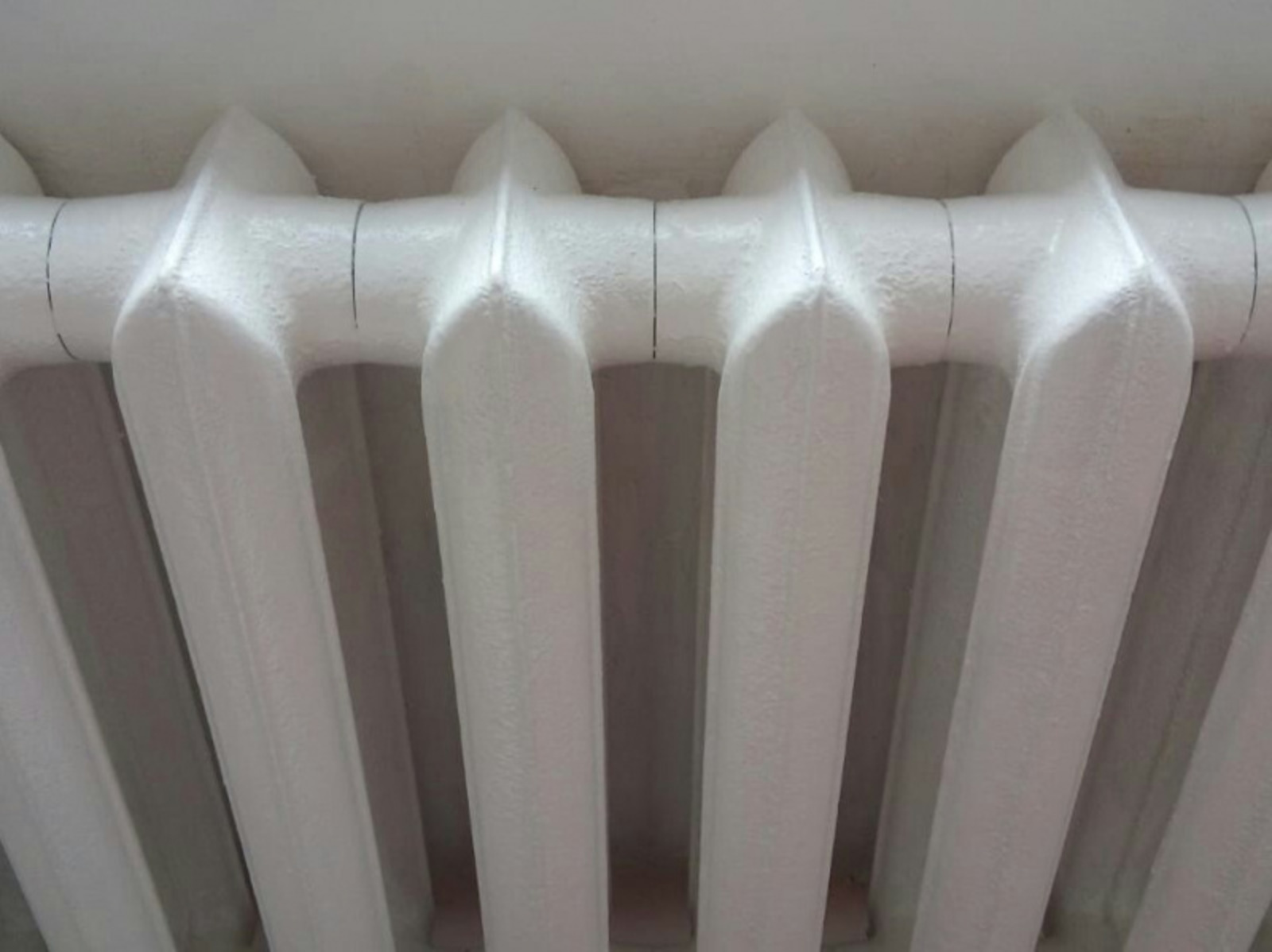 Фото Евгении Сюткиной.