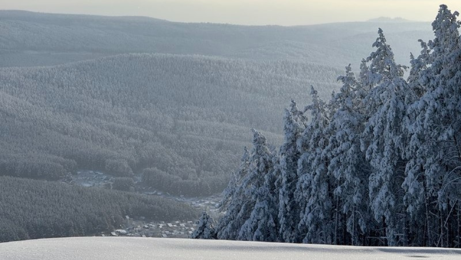 Елены Колоколовой.  «Общественная электронная газета».