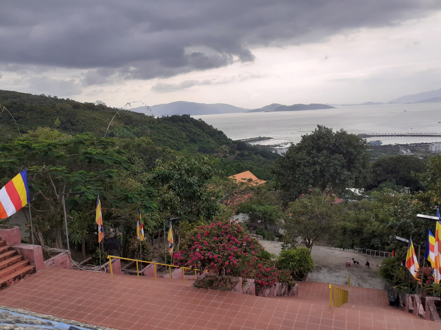 Владимира Шакиева. «Общественная электронная газета».