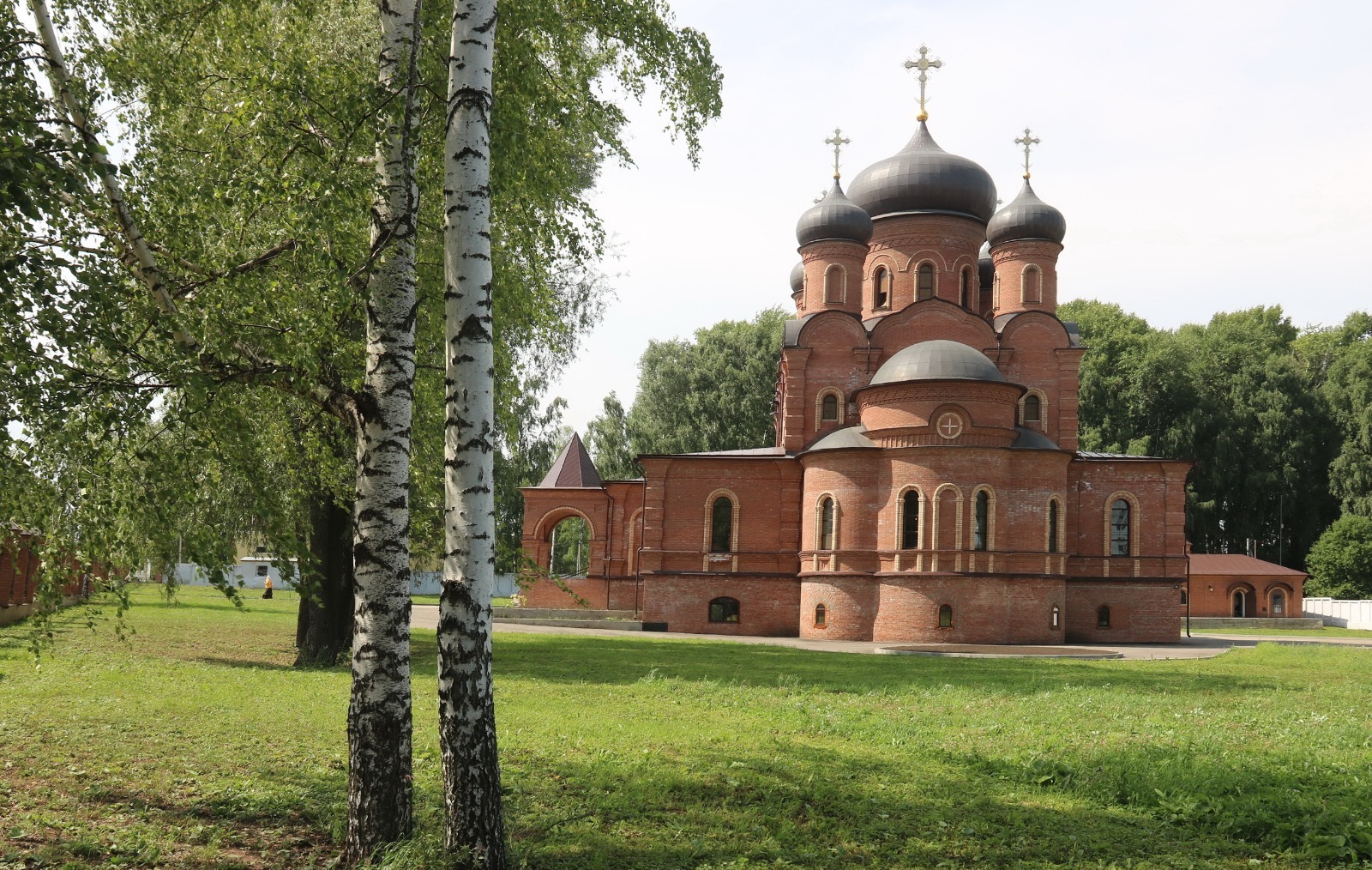 Евгении Сюткиной.