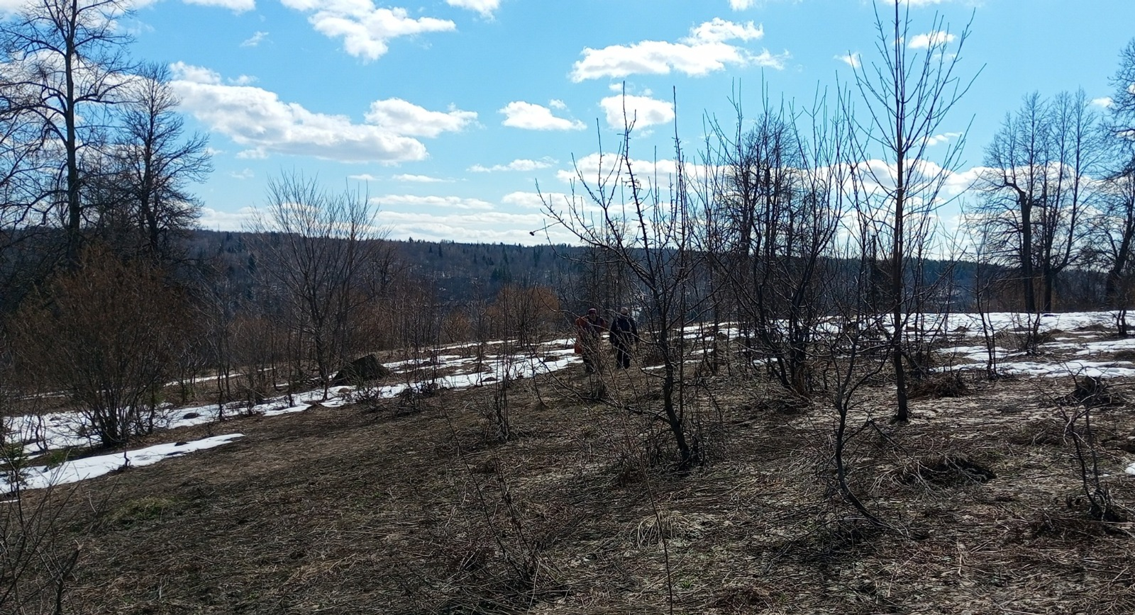Евгении Сюткиной. «Общественная электронная газета».