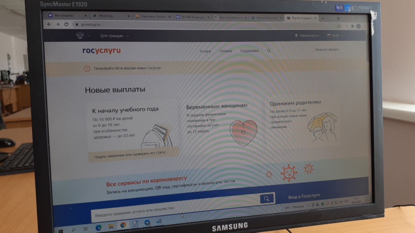 Фото автора.