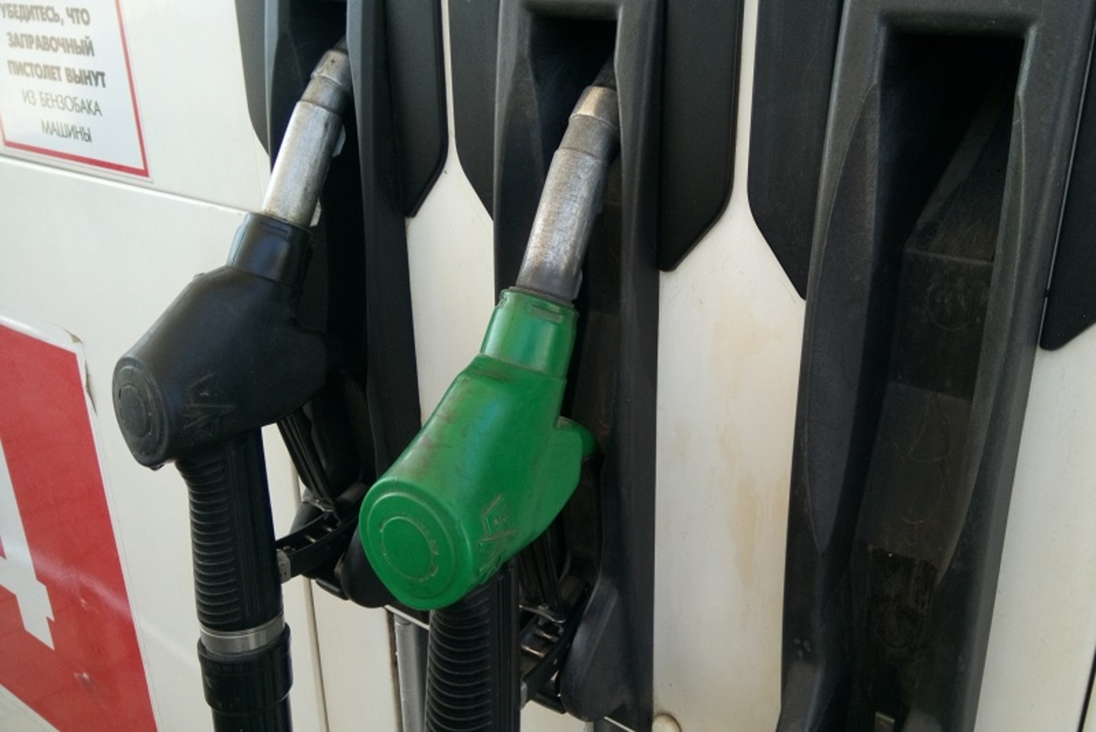 Фото Васили Саитовой.