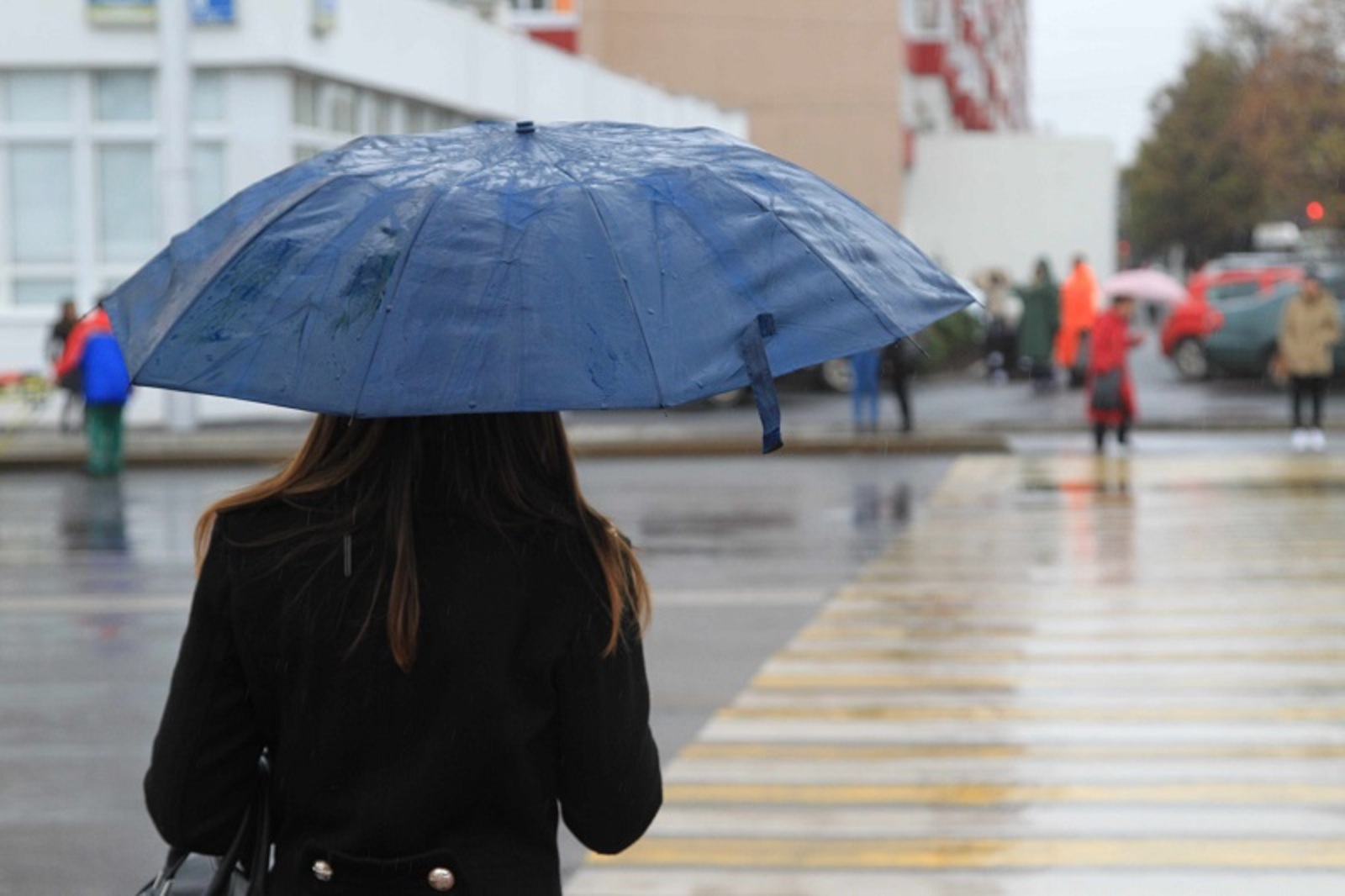 Фото Олега Яровикова.