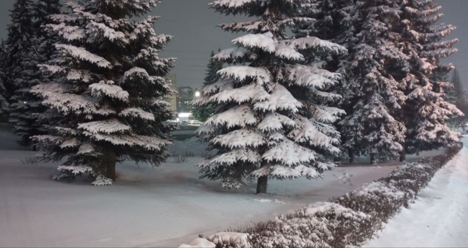 Евгении Сюткиной. «Общественная электронная газета».