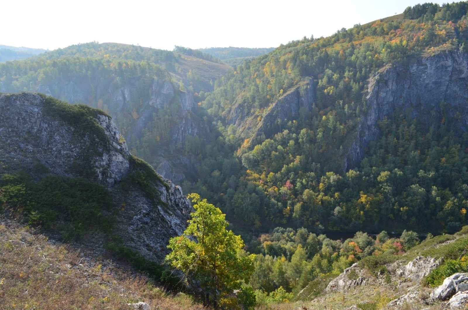 Владимира Шакиева.