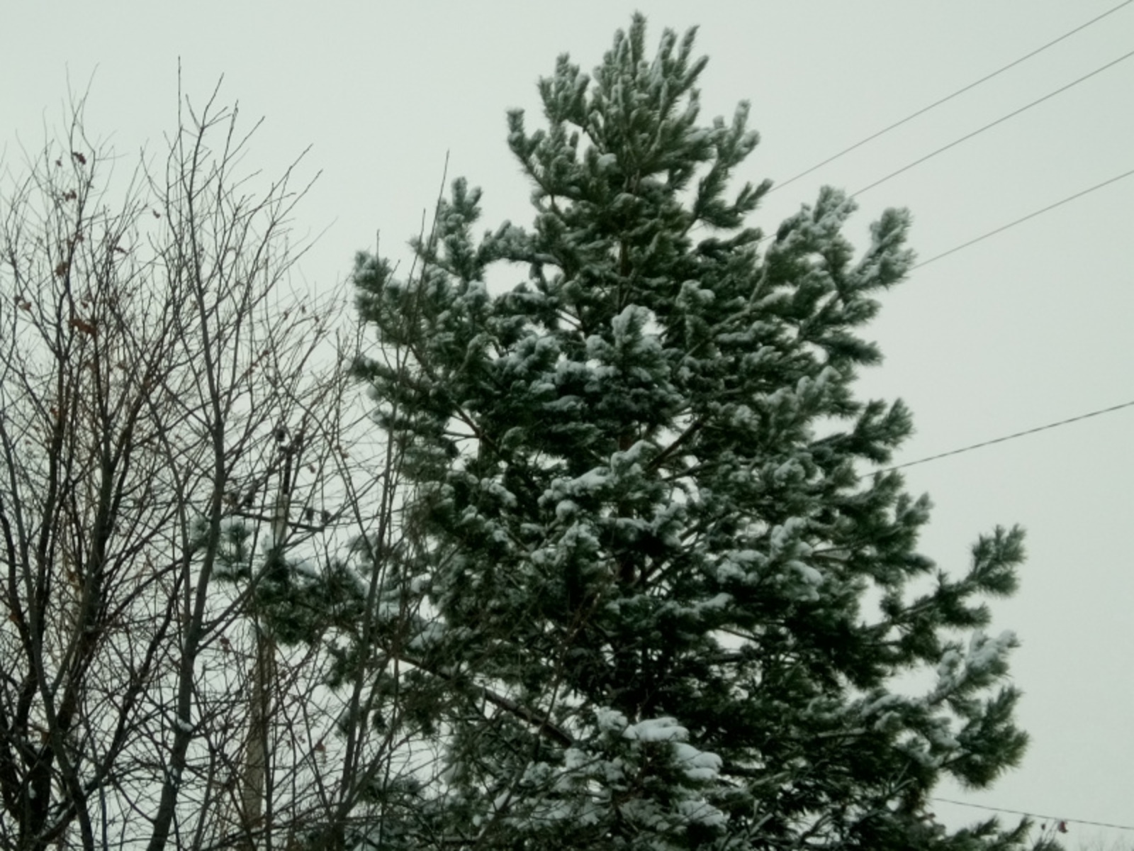 Фото Васили Саитовой.