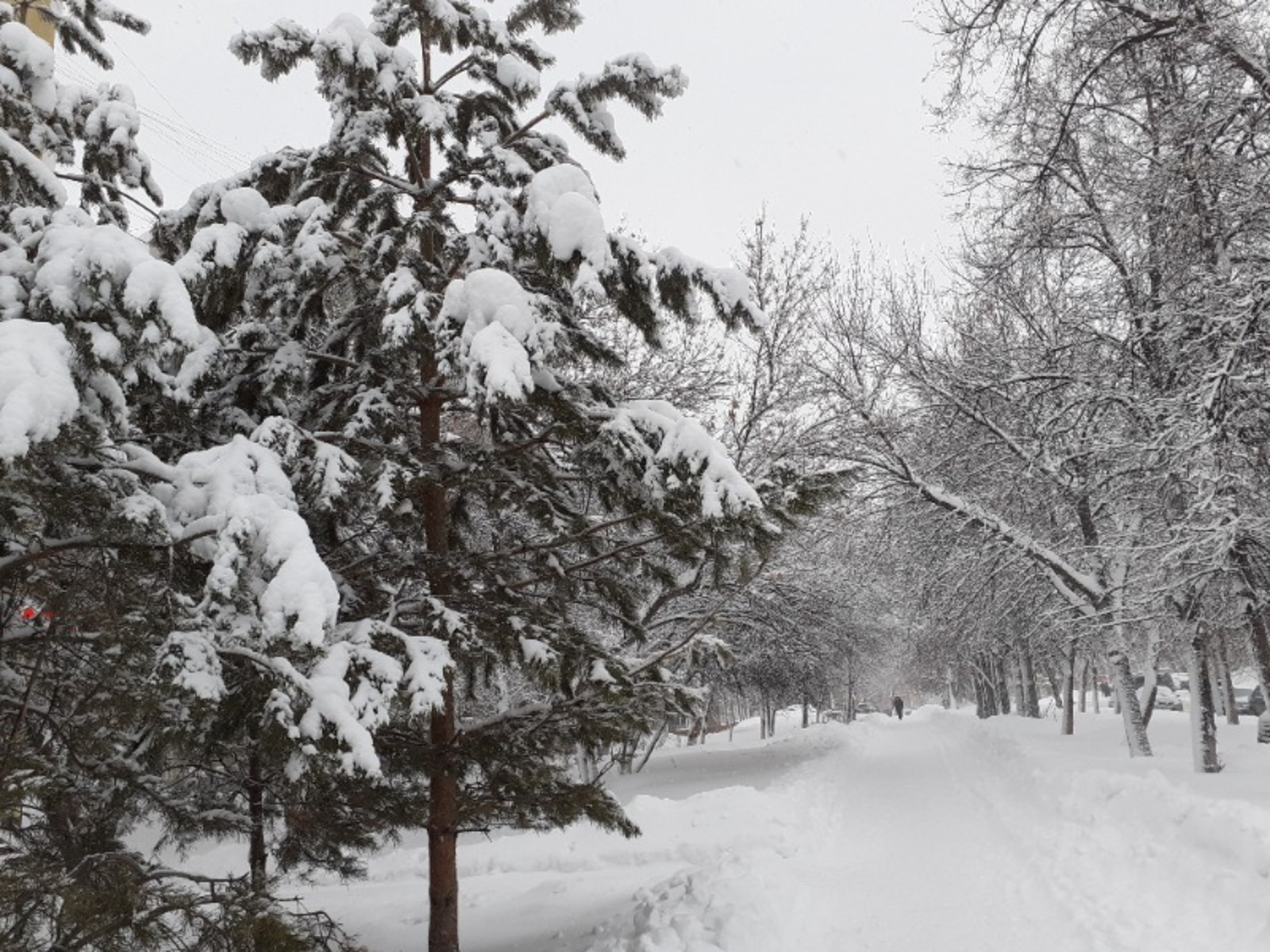 Владимира Шакиева.