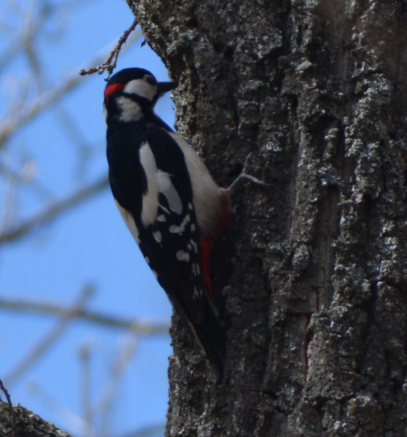 Фото предоставлено Виктором Валуевым.