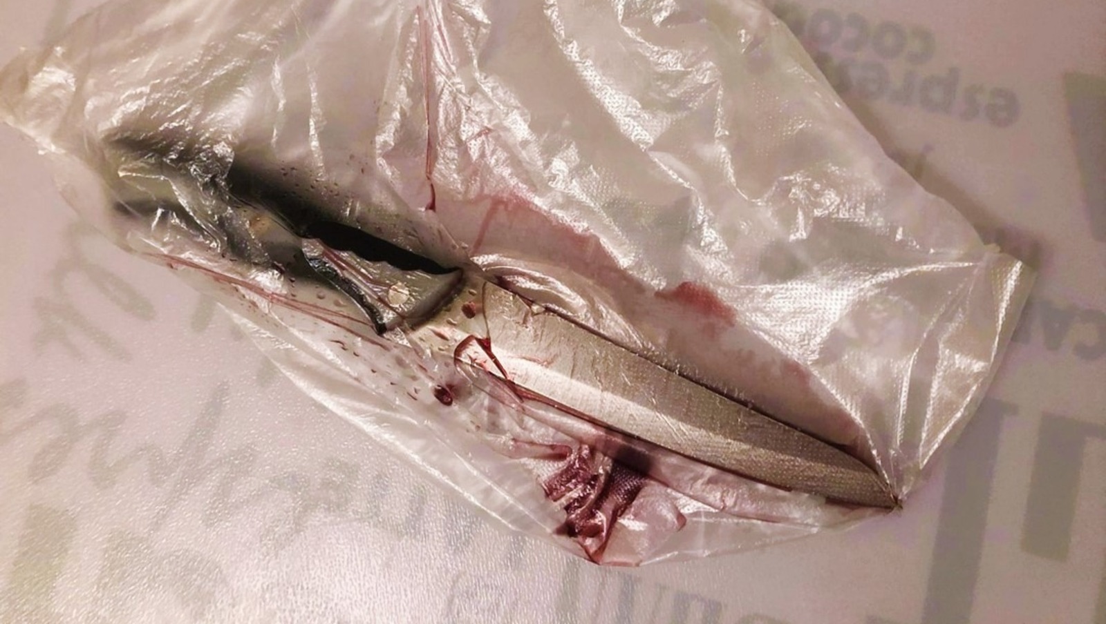 Елены Колоколовой.