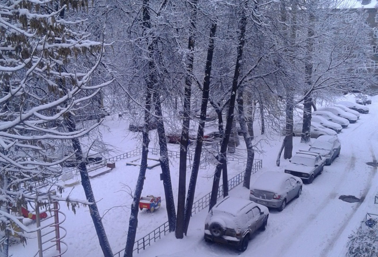 Фото автора.