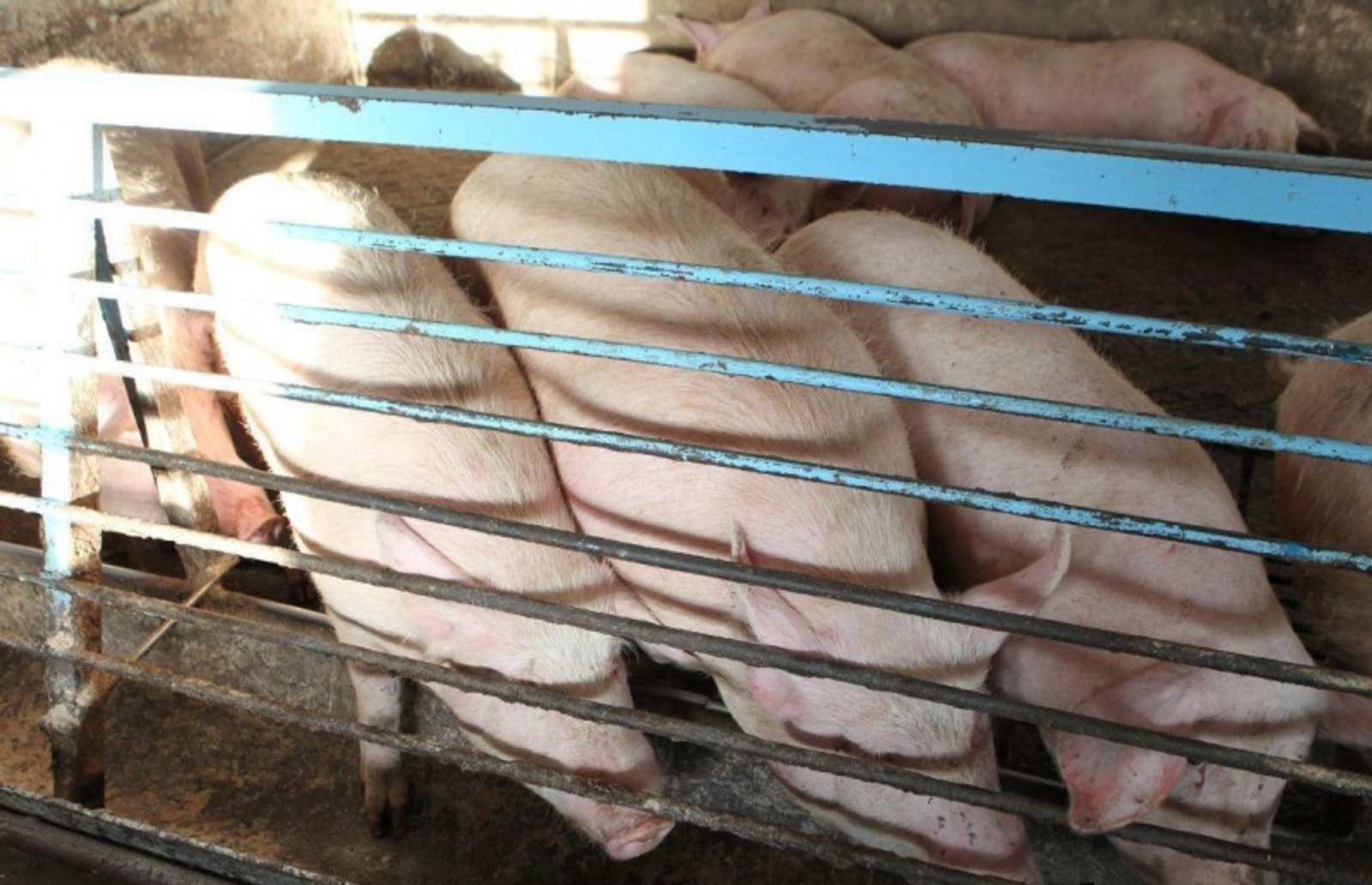 Фото: ИА «Башинформ».