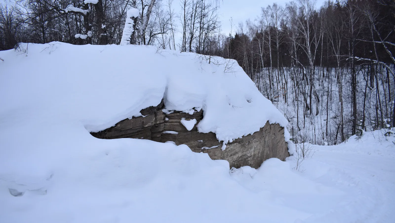 Елены Колоколовой.