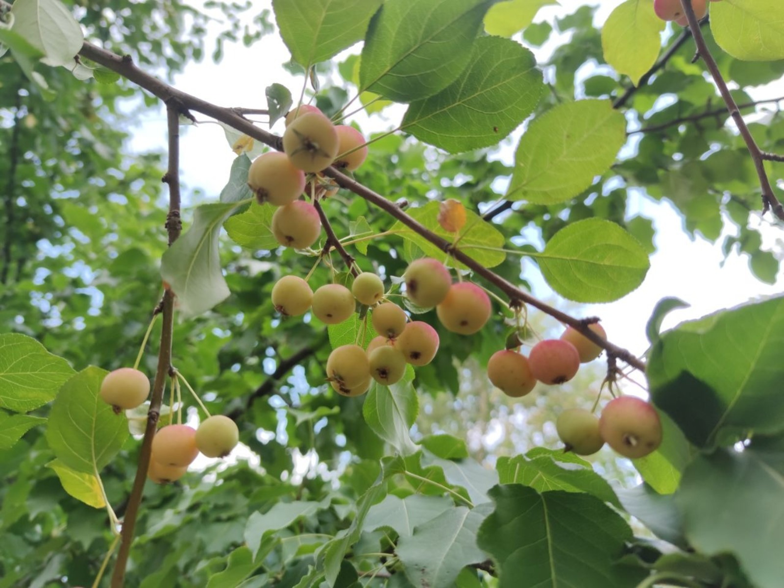 Дарьи Святохиной.