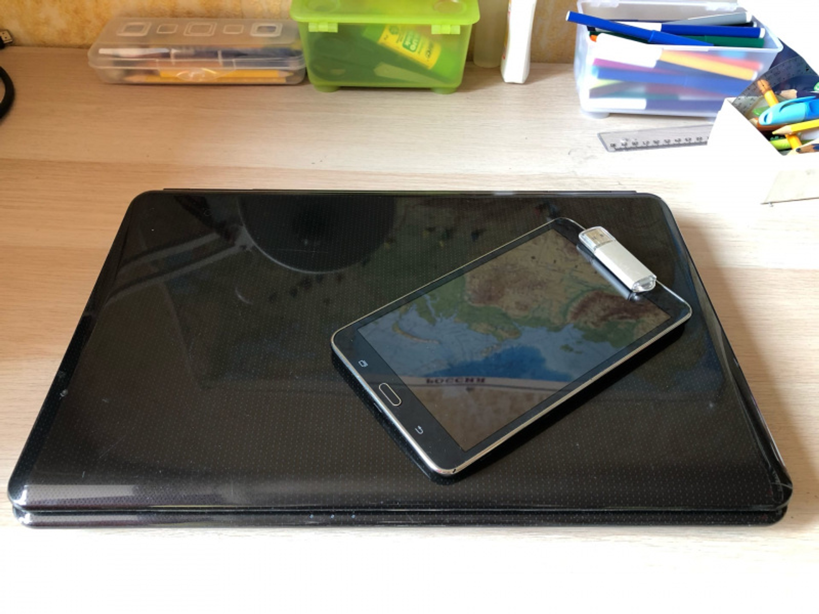 Фото Елены Колоколовой.