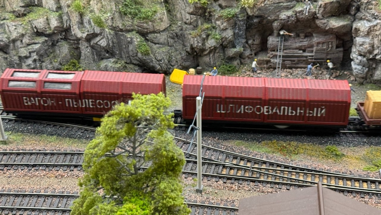 Елены Колоколовой.